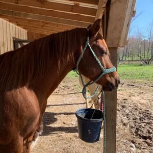 Meet your Posher, Mary margaret